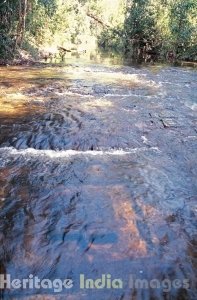 Sacred Shivlings in riven bed