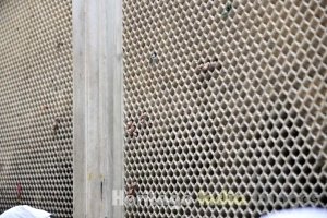 Hazrat Nizamuddin Auliya Dargah