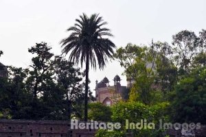 Humayun Tomb