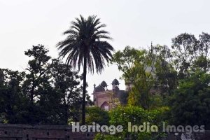 Humayun Tomb