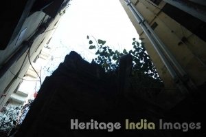 Unnamed Tomb Mohammadpur