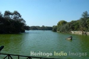 Hauz Khas Tank