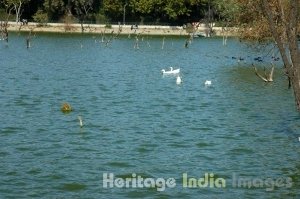 Hauz Khas Tank