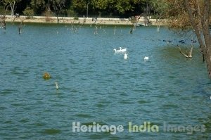 Hauz Khas Tank