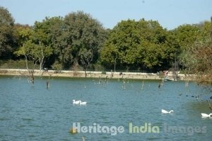 Hauz Khas Tank