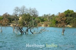 Hauz Khas Tank