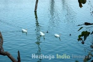 Hauz Khas Tank