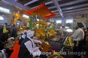 Guru Nanak Dev ji's Gurpurab