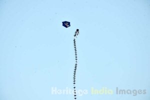 Kite Flying at India Gate by Delhi Tourism