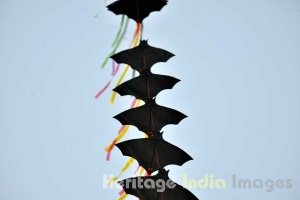 Kite Flying at India Gate by Delhi Tourism