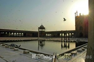 Inner Courtyard