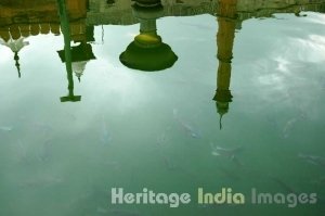 Fatehpuri Masjid, Delhi